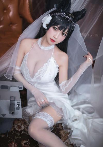 无主之花免费观看完整版电视剧