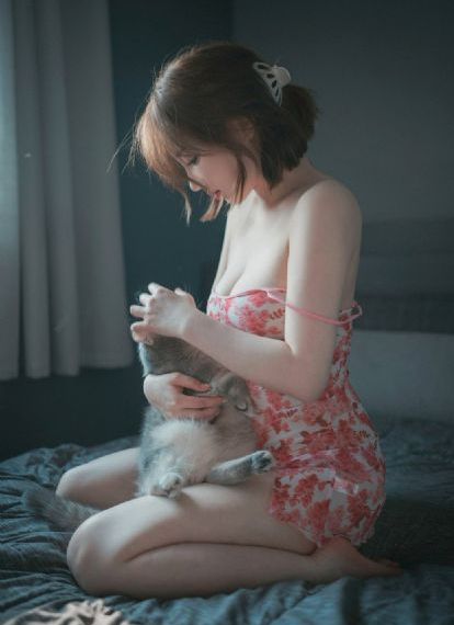与君长歌短剧免费全集在线观看