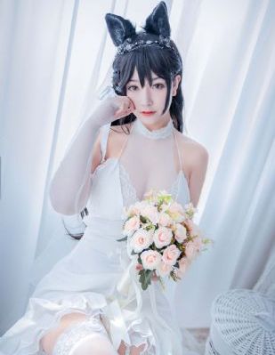 全国探花