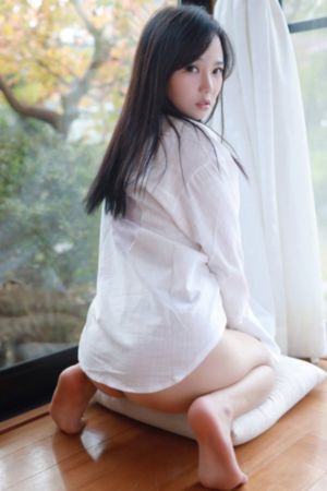 心之航向 电视剧