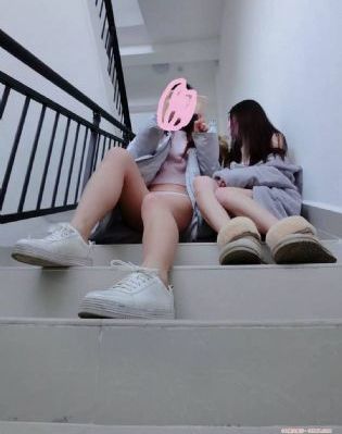 环球大冒险熊出没免费观看