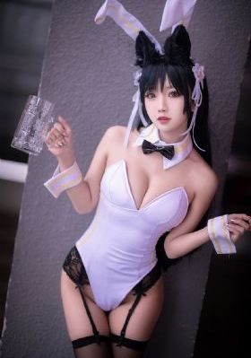 镖人动画