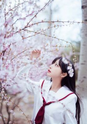 回复术士的重启人生免费在线观看